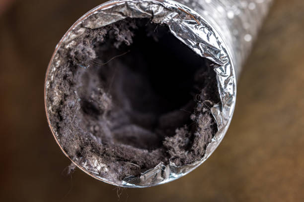 Best Best Air Duct Cleaning Company  in Berly, MO