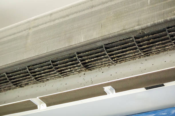 Best Air Duct Cleaning Cost  in Berly, MO